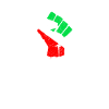 Feminist symbol + Iranian flag