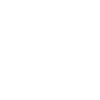 Evolution Helicopter