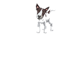 Bull Terrier Chiens cadeaux