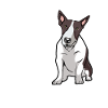 Bull Terrier Chiens cadeaux