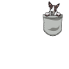 Bull Terrier Gift Dogs