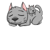 Chat avec bébé chat