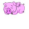 Cochon avec bébé cochon