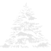 schneebedeckter Christbaum oder Tannenbaum