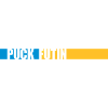 puck futin logo design