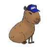 Capybara