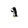 Penguin Bird Heart Beat