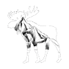 Élan
