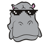 Hippo - Head with sunglasses