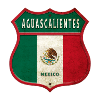 Design des armoiries d'Aguascalientes (Mexique)