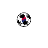 South Korea Football