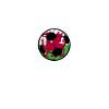 Wales Football