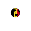 Belgium Football