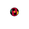 Cameroon Football
