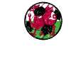 Wales Football