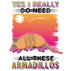Armadillo Gift Armadillo
