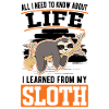 Sloth lover Sloth
