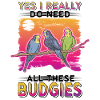 Budgerigar Gift Welli cockatiel