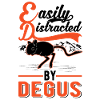 Easily distracted by Degus