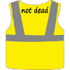 Yellow vest