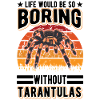 Tarantula Spider Tarantula