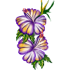 fleur
