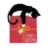 Pfotschafter Christmas - cat and gift