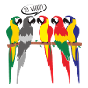 MONOCHROME BIRD PARROT