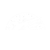 no lives matter