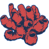 Corail
