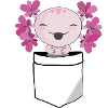 Axolotl