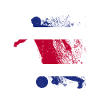 Équipe nationale du Costa Rica