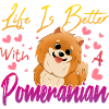 Pomeranian lovers