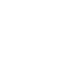 Chonk Meme Cat