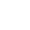 Chonk Meme Cat