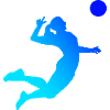 Volleyball masculin