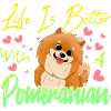 Pomeranian lovers