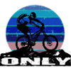 MTB Bike