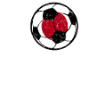 Japan Football