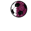 Qatar Football