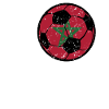 Maroc Football