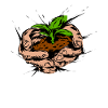 Gardener Garden