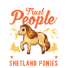 Shetland Pony Cadeau Shetty