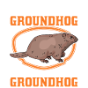 Murmeltier Groundhog Marmot Waldmurmeltier