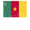 Cameroon flag