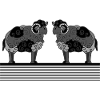 Rams