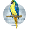 Vogel