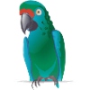 Parrot illustration