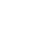 Diagnose Totalschaden