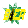 Bier im Stern